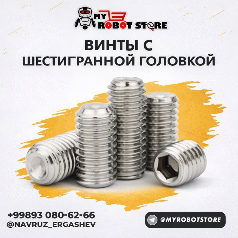 Винты с шестигранной головкой M6 × 8 мм